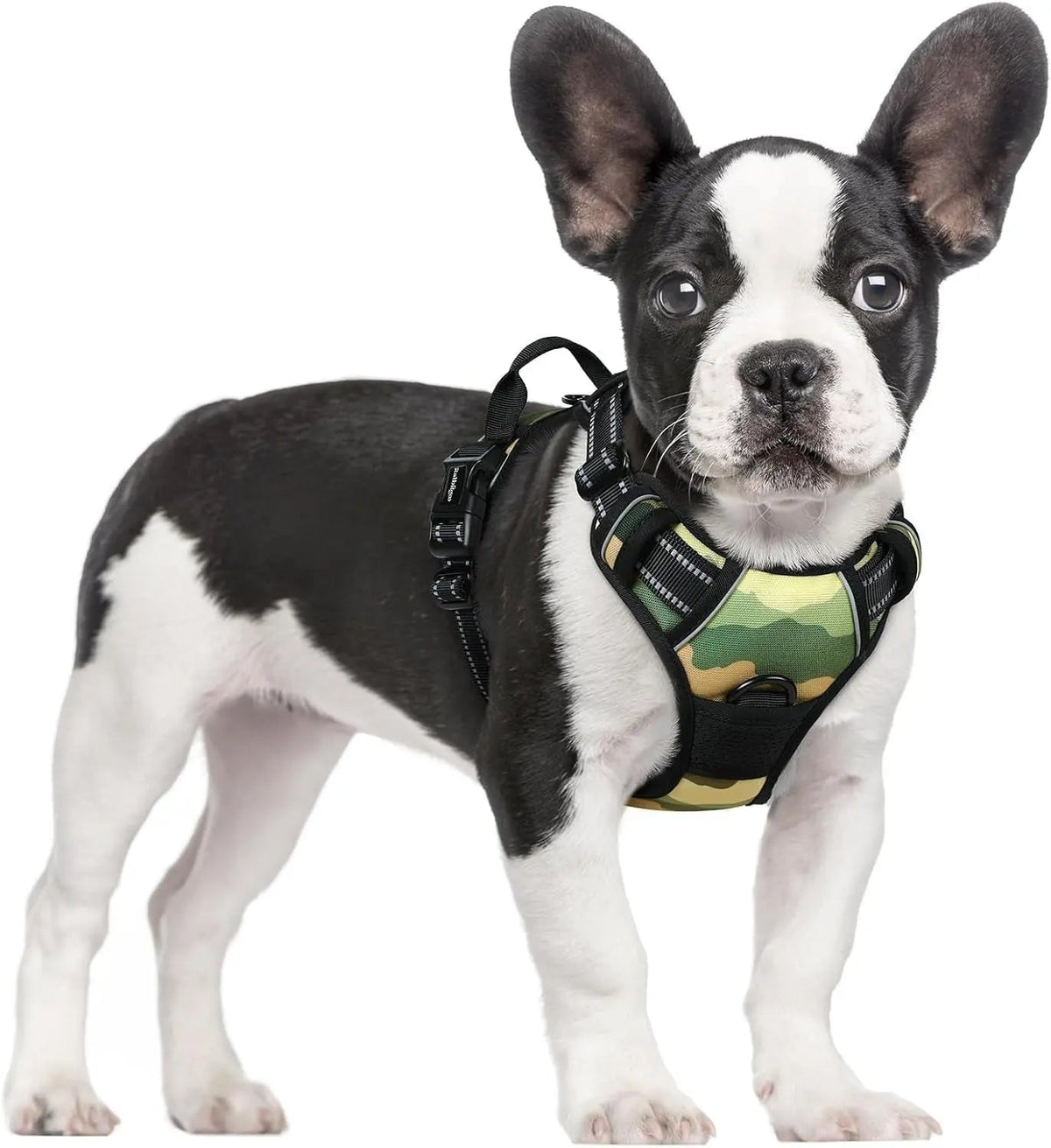 No-Pull Oxford Dog Harness with Dual Leash Clips