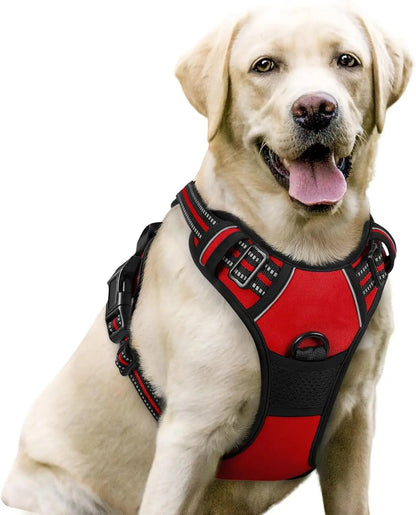 No-Pull Oxford Dog Harness with Dual Leash Clips