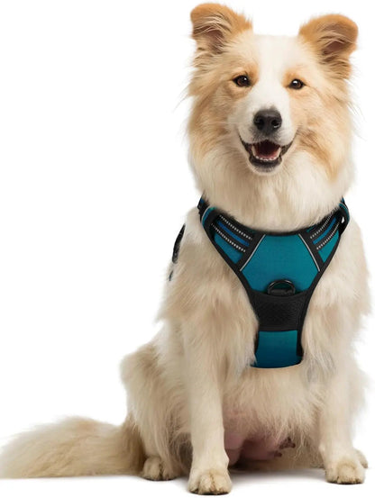 No-Pull Oxford Dog Harness with Dual Leash Clips