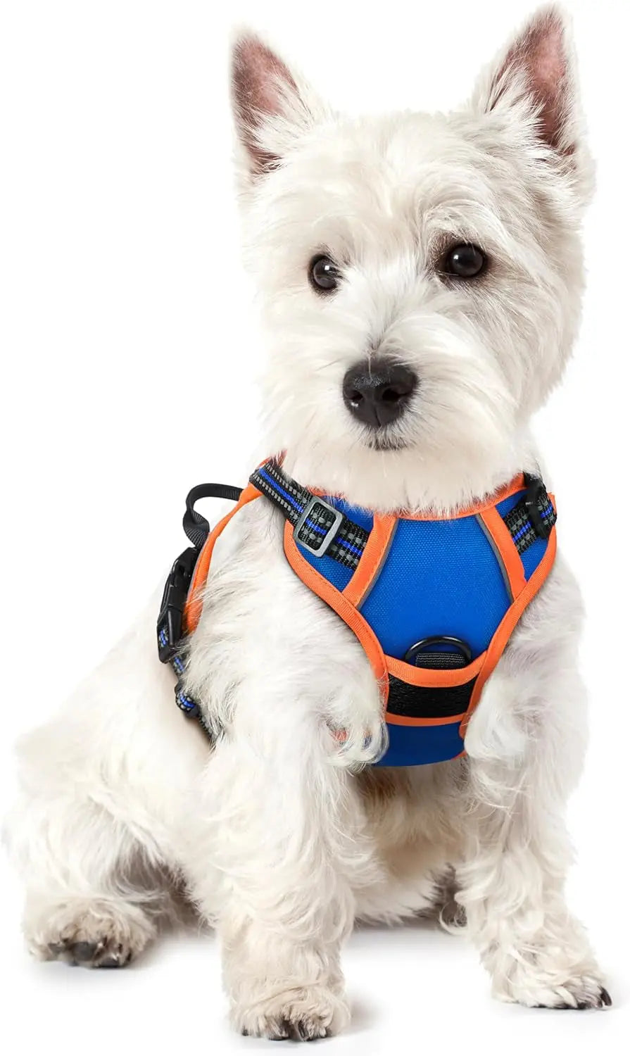 No-Pull Oxford Dog Harness with Dual Leash Clips