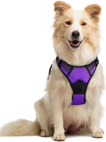 No-Pull Oxford Dog Harness with Dual Leash Clips