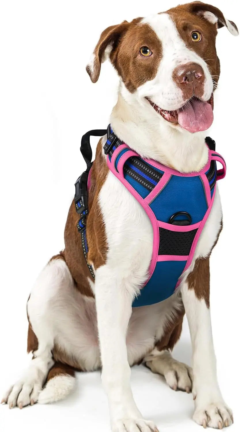 No-Pull Oxford Dog Harness with Dual Leash Clips