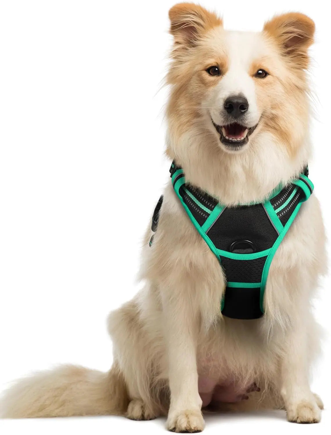 No-Pull Oxford Dog Harness with Dual Leash Clips