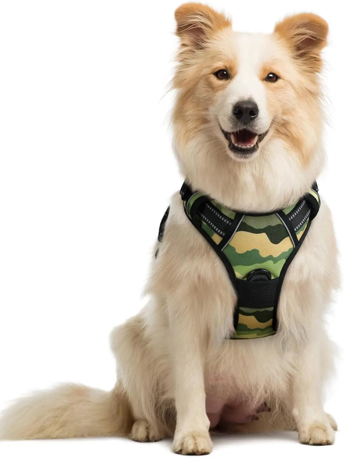 No-Pull Oxford Dog Harness with Dual Leash Clips