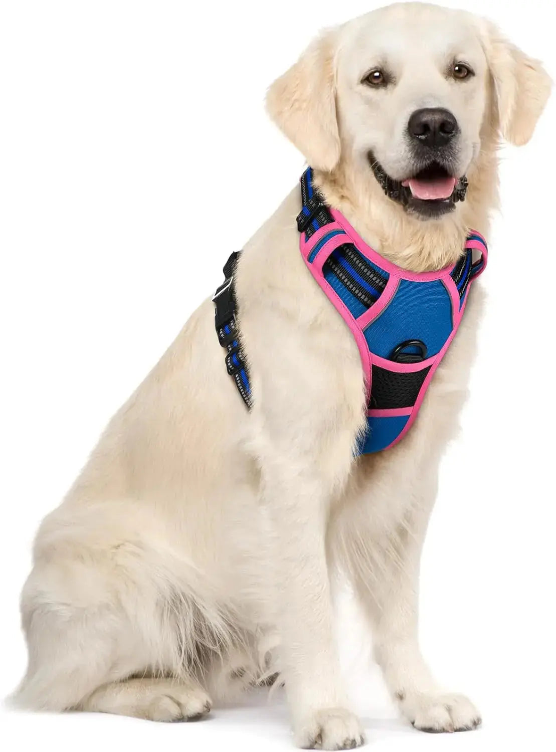 No-Pull Oxford Dog Harness with Dual Leash Clips