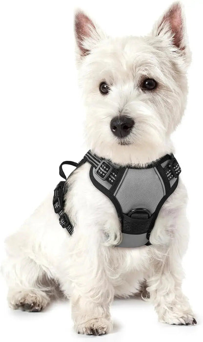 No-Pull Oxford Dog Harness with Dual Leash Clips
