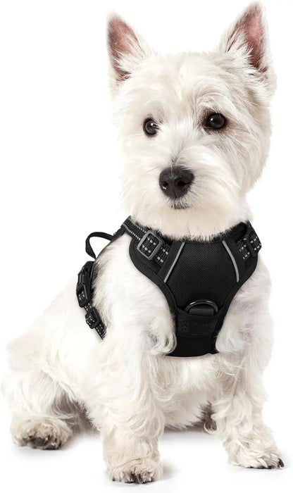 No-Pull Oxford Dog Harness with Dual Leash Clips