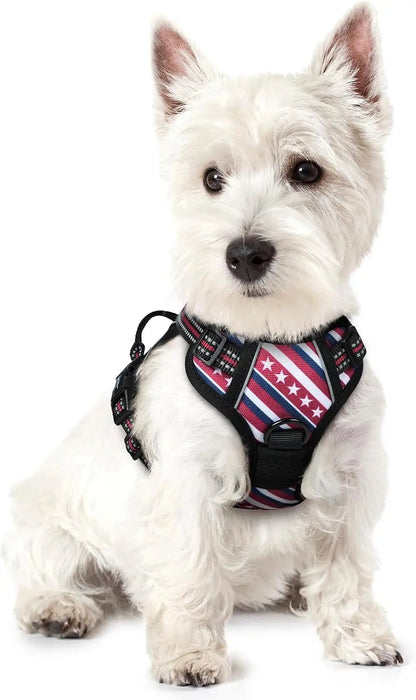 No-Pull Oxford Dog Harness with Dual Leash Clips