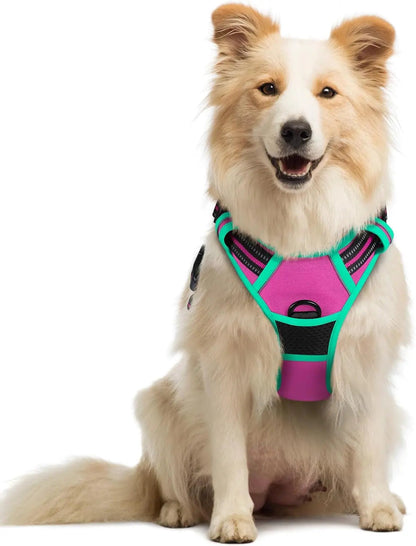 No-Pull Oxford Dog Harness with Dual Leash Clips