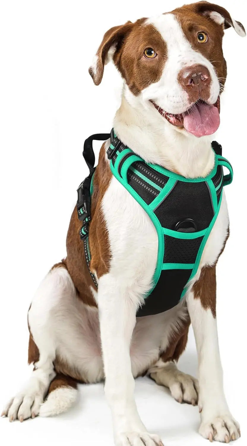 No-Pull Oxford Dog Harness with Dual Leash Clips