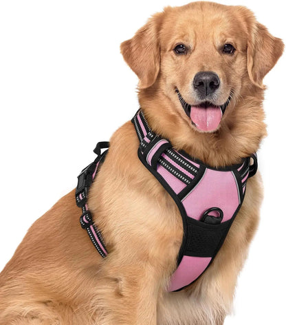 No-Pull Oxford Dog Harness with Dual Leash Clips