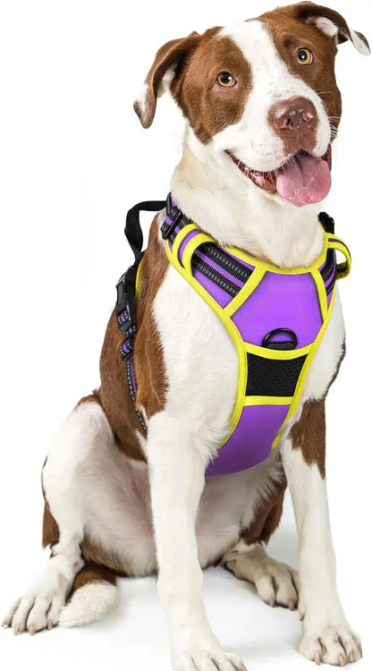 No-Pull Oxford Dog Harness with Dual Leash Clips