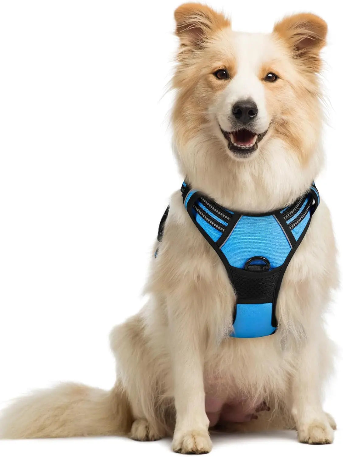 No-Pull Oxford Dog Harness with Dual Leash Clips