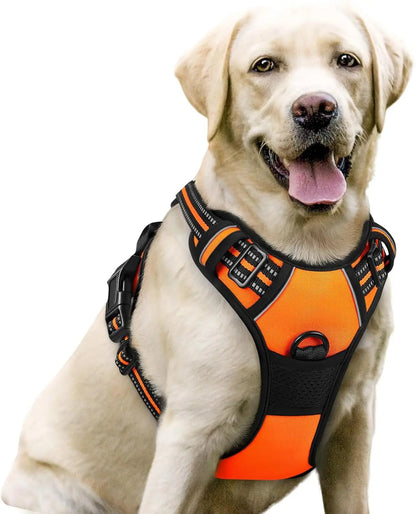 No-Pull Oxford Dog Harness with Dual Leash Clips