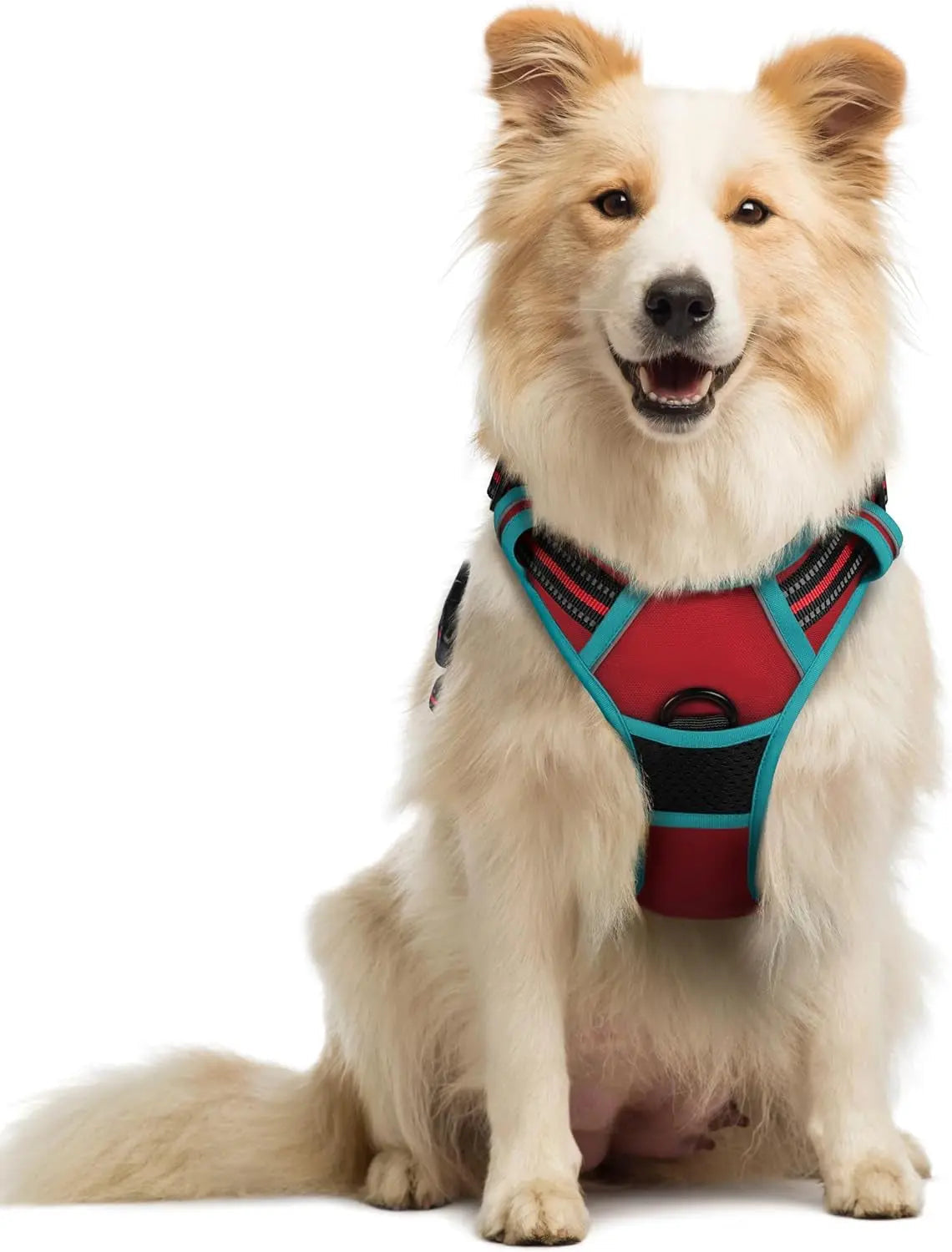 No-Pull Oxford Dog Harness with Dual Leash Clips