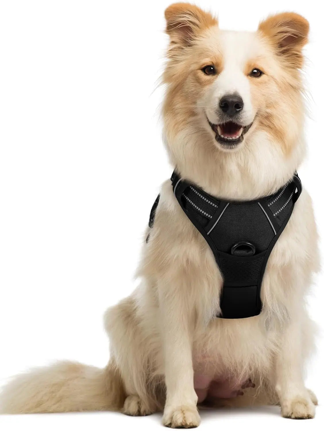 No-Pull Oxford Dog Harness with Dual Leash Clips