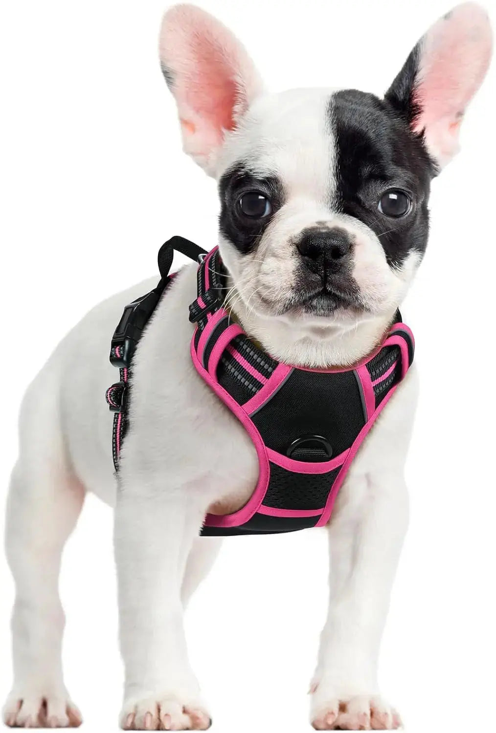 No-Pull Oxford Dog Harness with Dual Leash Clips