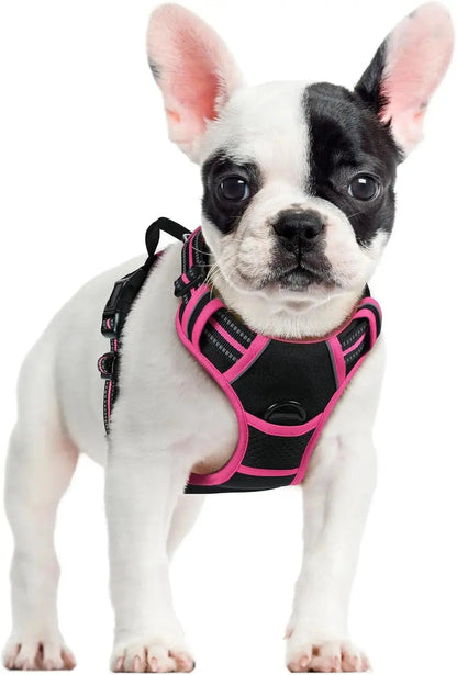 No-Pull Oxford Dog Harness with Dual Leash Clips