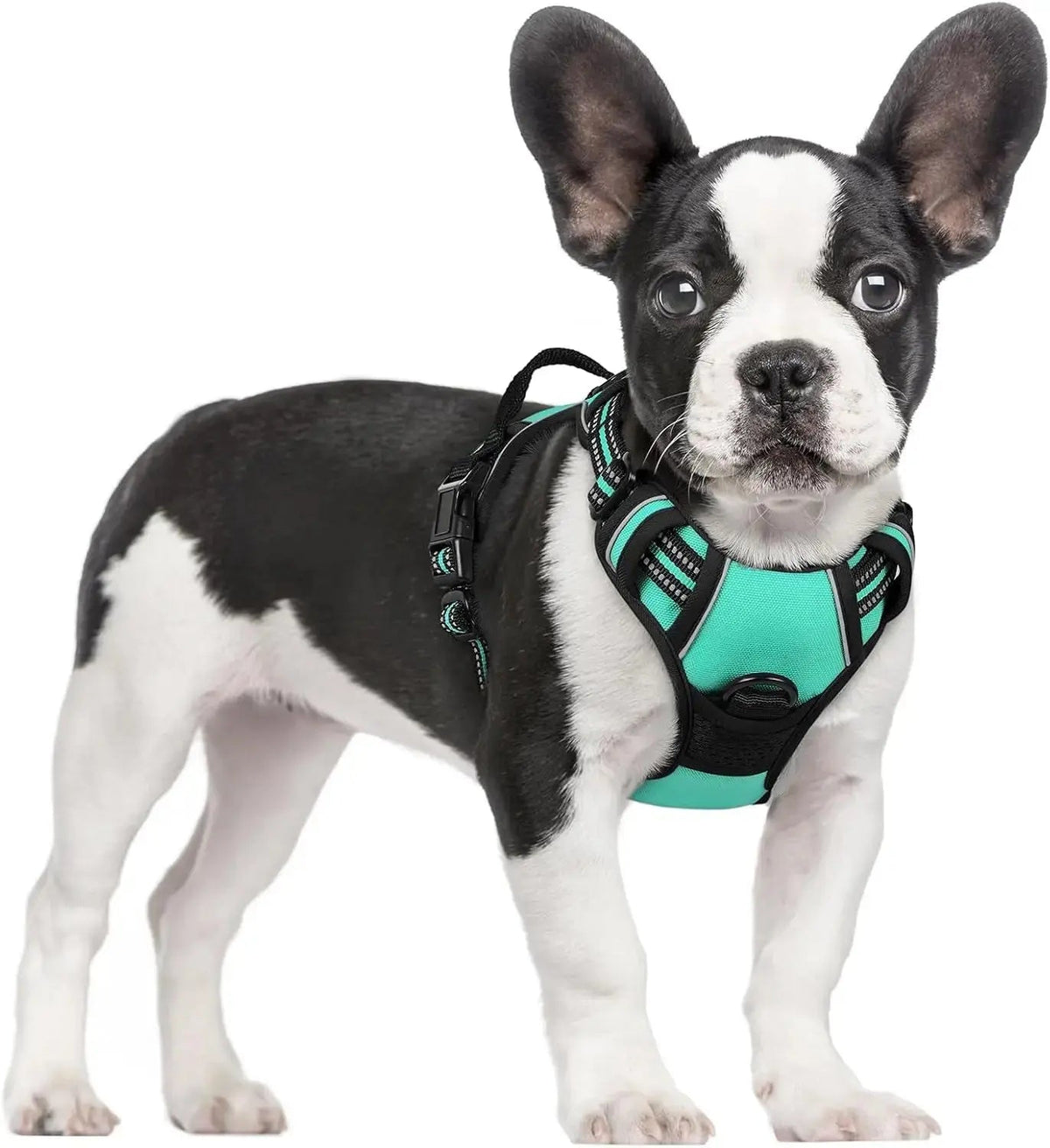 No-Pull Oxford Dog Harness with Dual Leash Clips