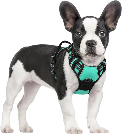 No-Pull Oxford Dog Harness with Dual Leash Clips