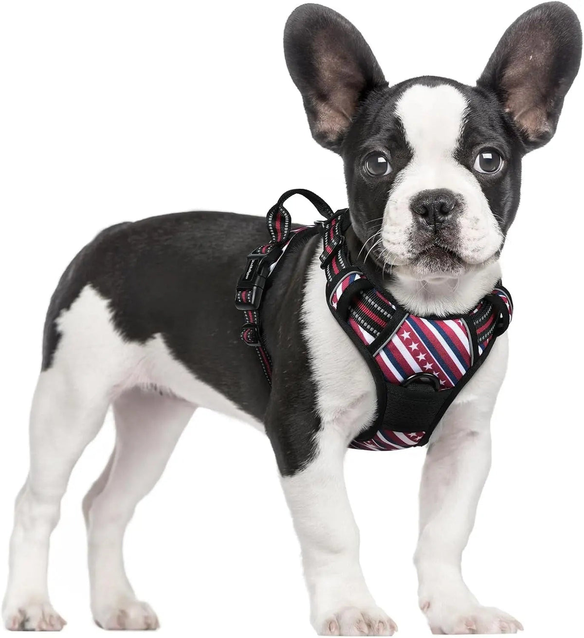 No-Pull Oxford Dog Harness with Dual Leash Clips