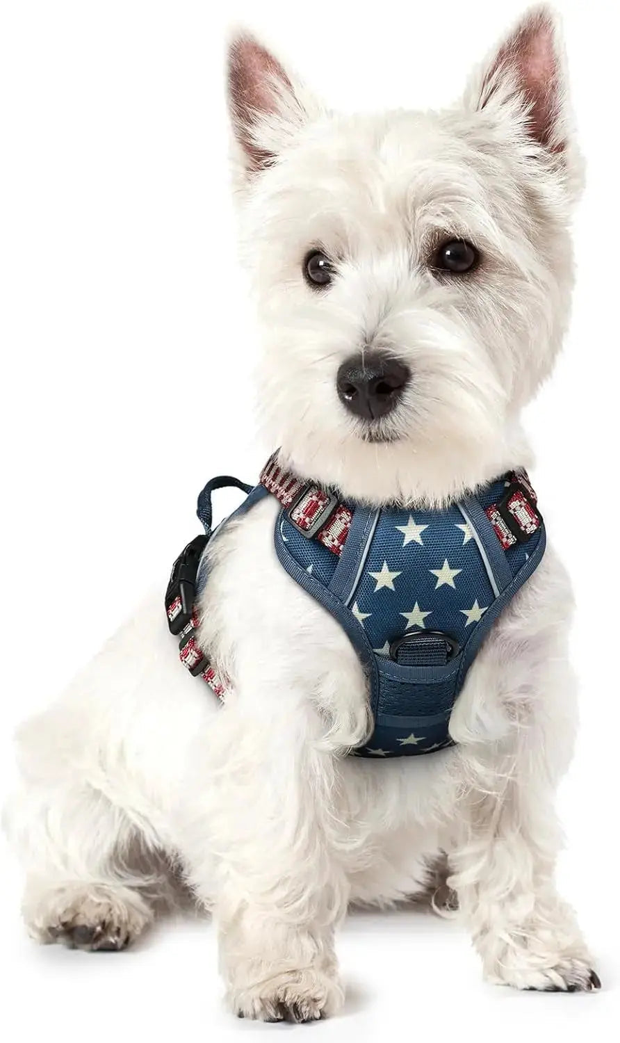 No-Pull Oxford Dog Harness with Dual Leash Clips