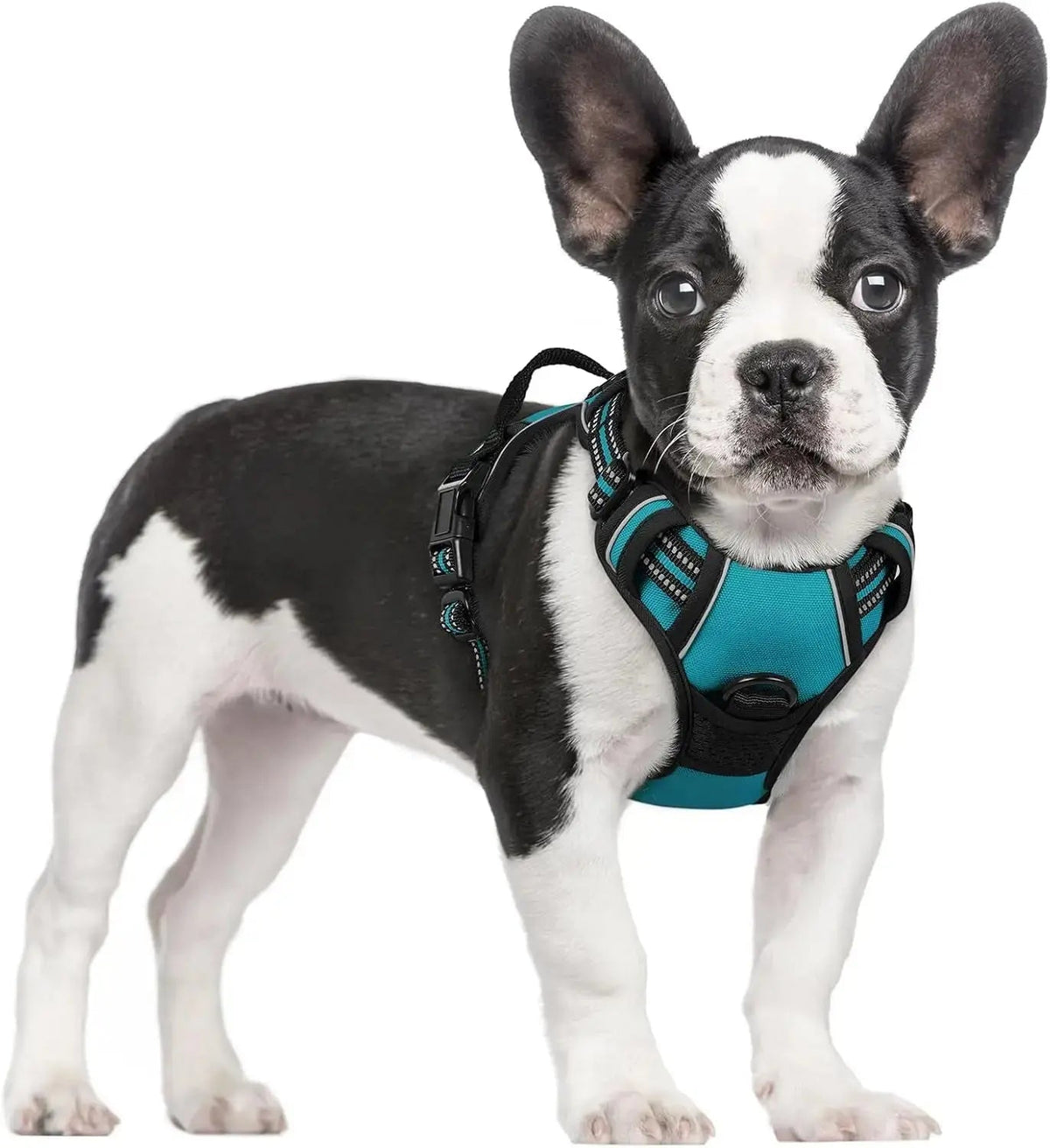 No-Pull Oxford Dog Harness with Dual Leash Clips
