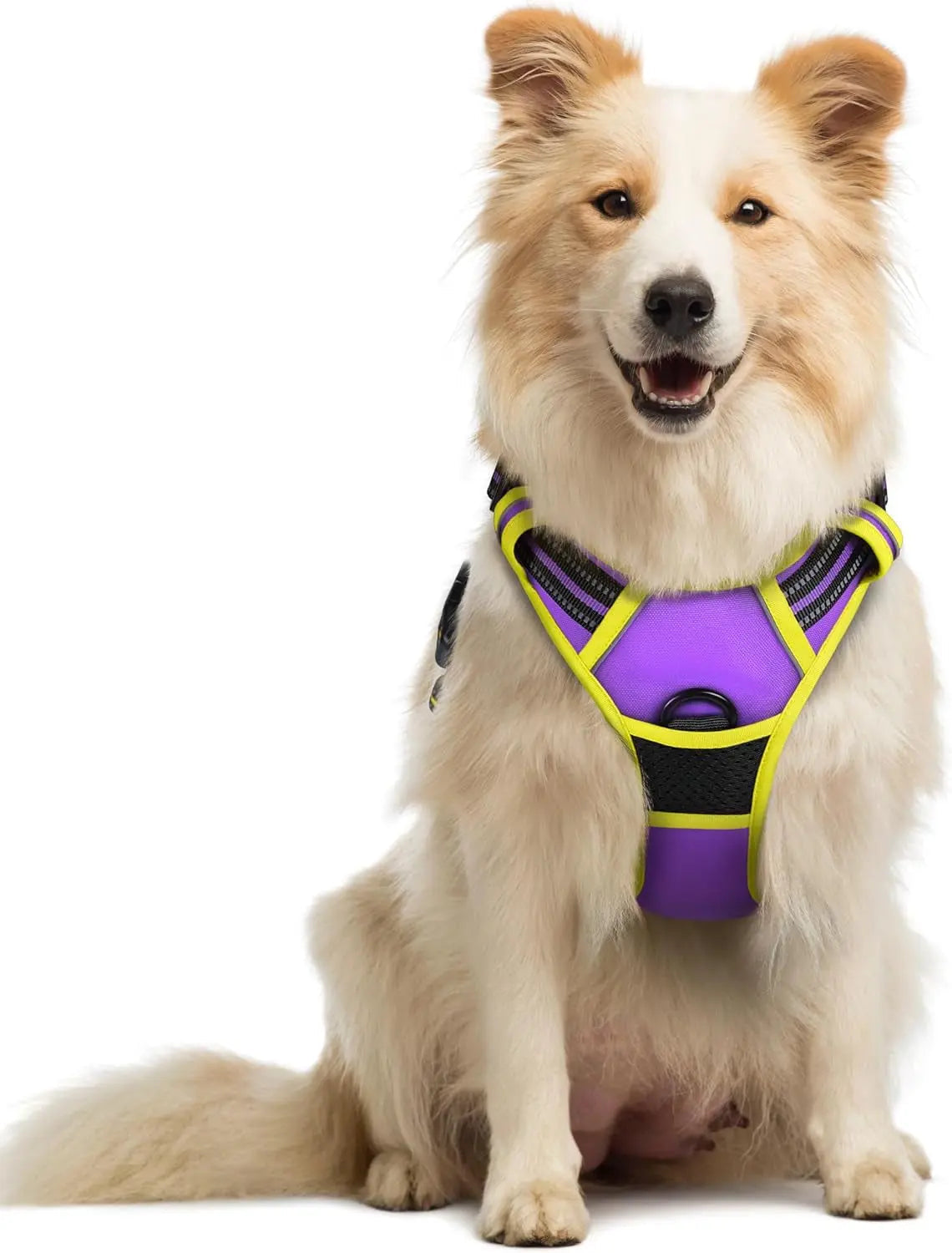 No-Pull Oxford Dog Harness with Dual Leash Clips