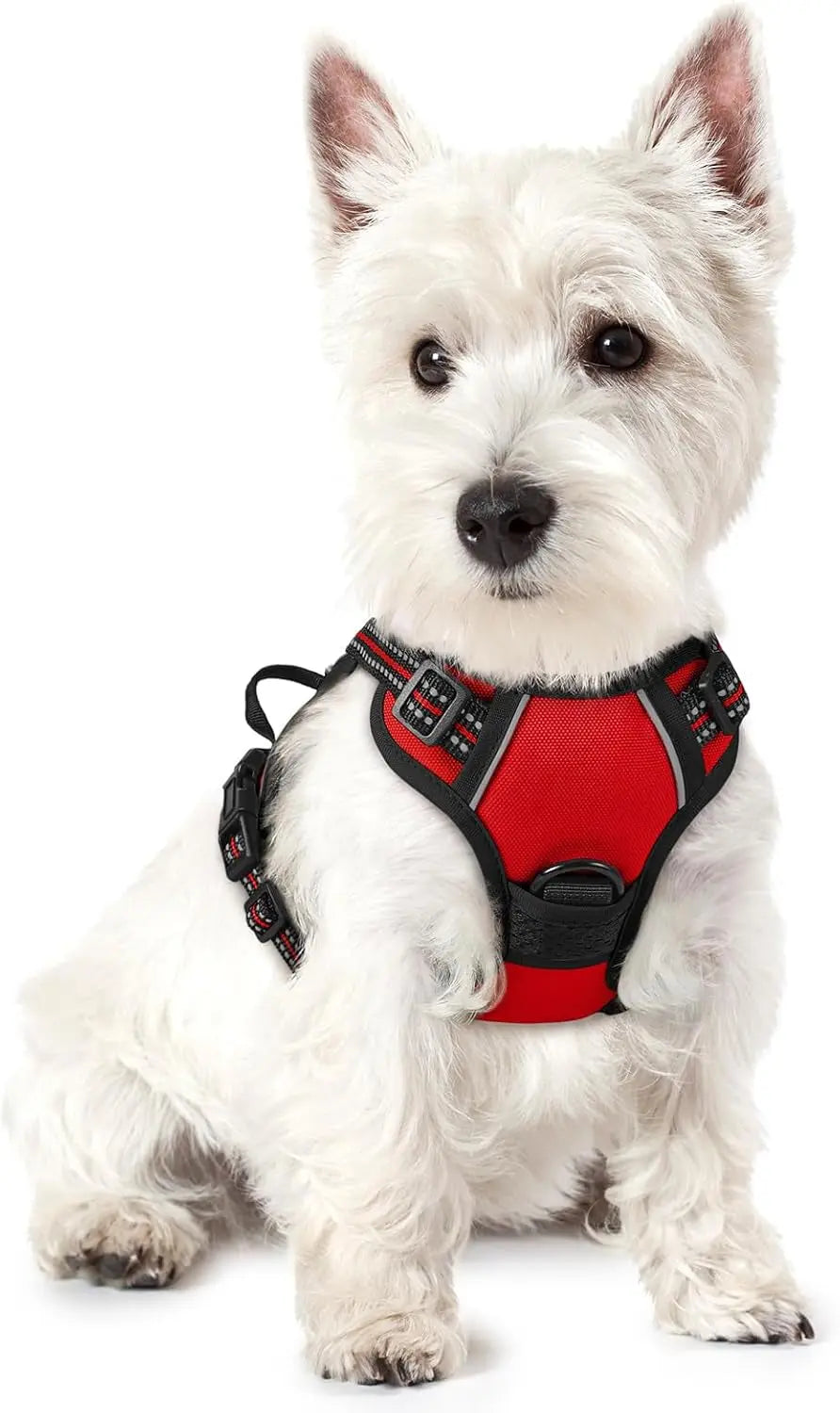 No-Pull Oxford Dog Harness with Dual Leash Clips