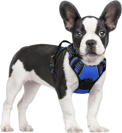 No-Pull Oxford Dog Harness with Dual Leash Clips