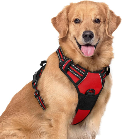 No-Pull Oxford Dog Harness with Dual Leash Clips
