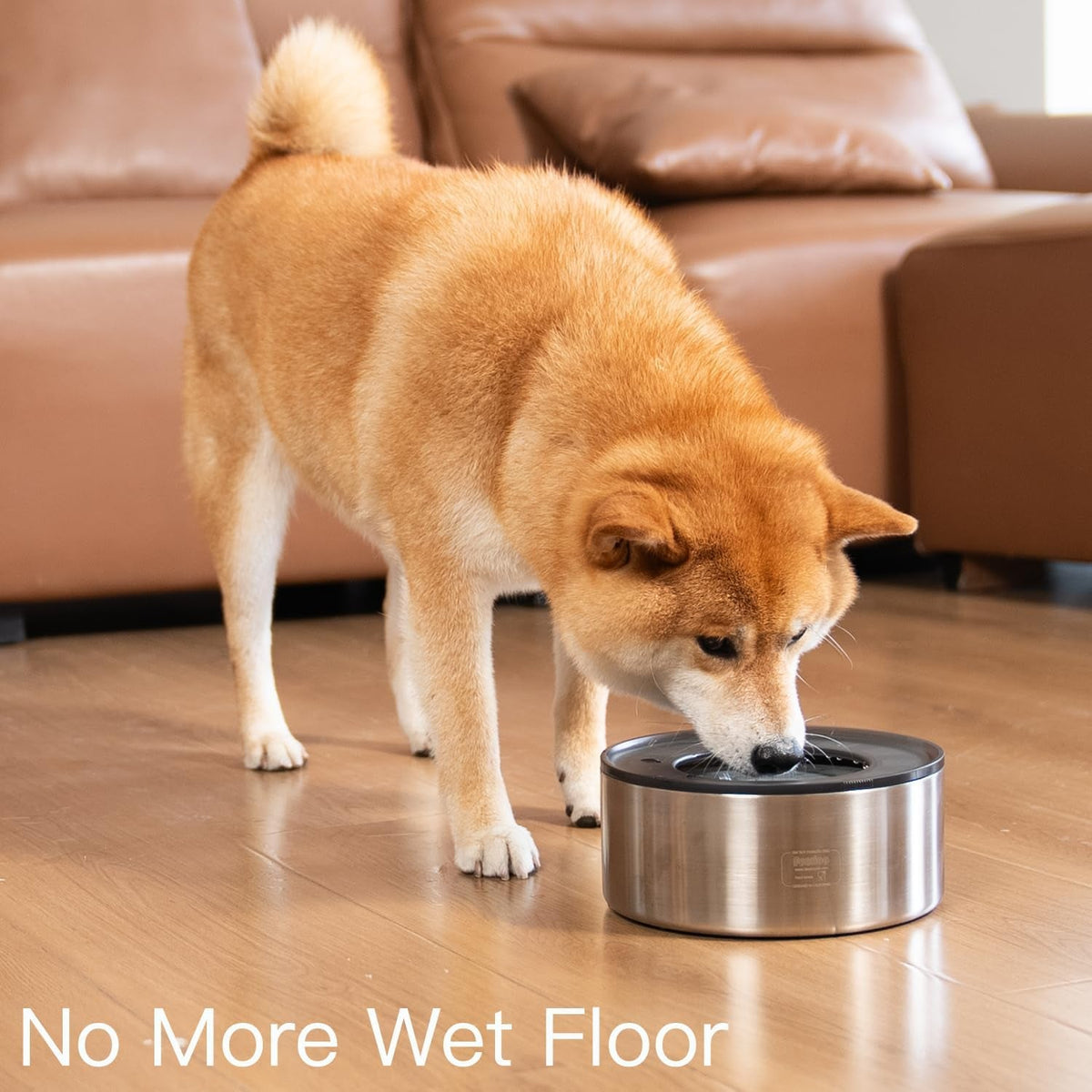 No-Spill Stainless Steel Dog Water Bowl, 1 Gallon