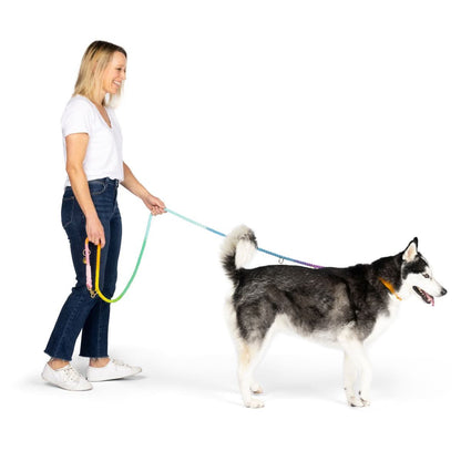 Nola hands-free dog leash — additional photo 6