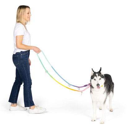 Nola hands-free dog leash — additional photo 8