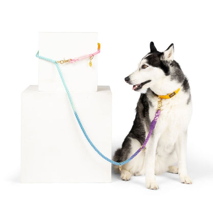 Nola hands-free dog leash — additional photo 9