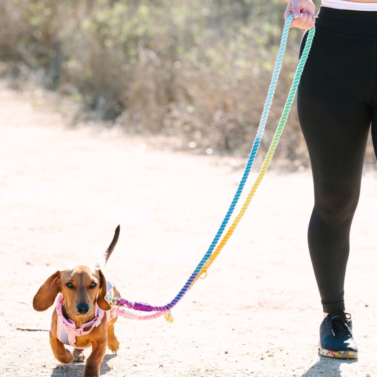 Nola hands-free dog leash — additional photo 11