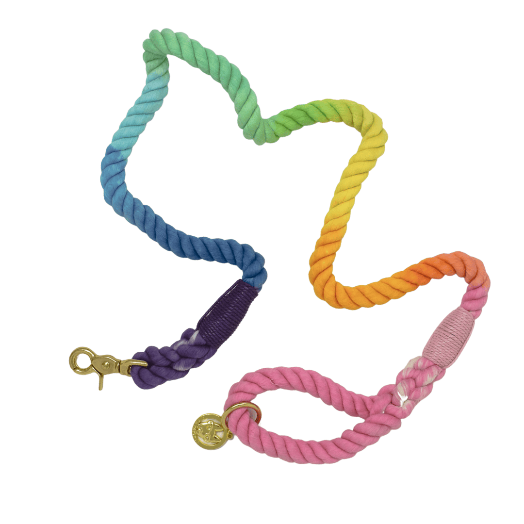 Nola – Organic Cotton Rope Dog Leash, Rainbow