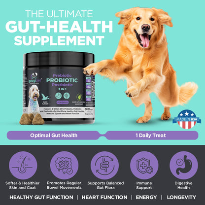 3-in-1 Probiotic Chews for Dogs