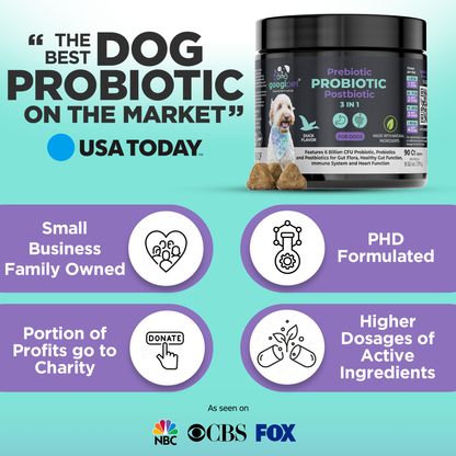 3-in-1 Probiotic Chews for Dogs