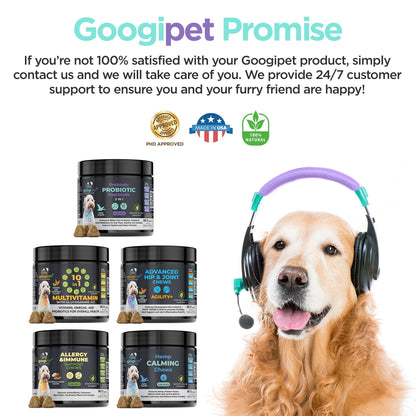 3-in-1 Probiotic Chews for Dogs