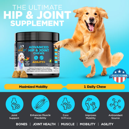 Agility+ Glucosamine, MSM & Collagen Chews for Dogs