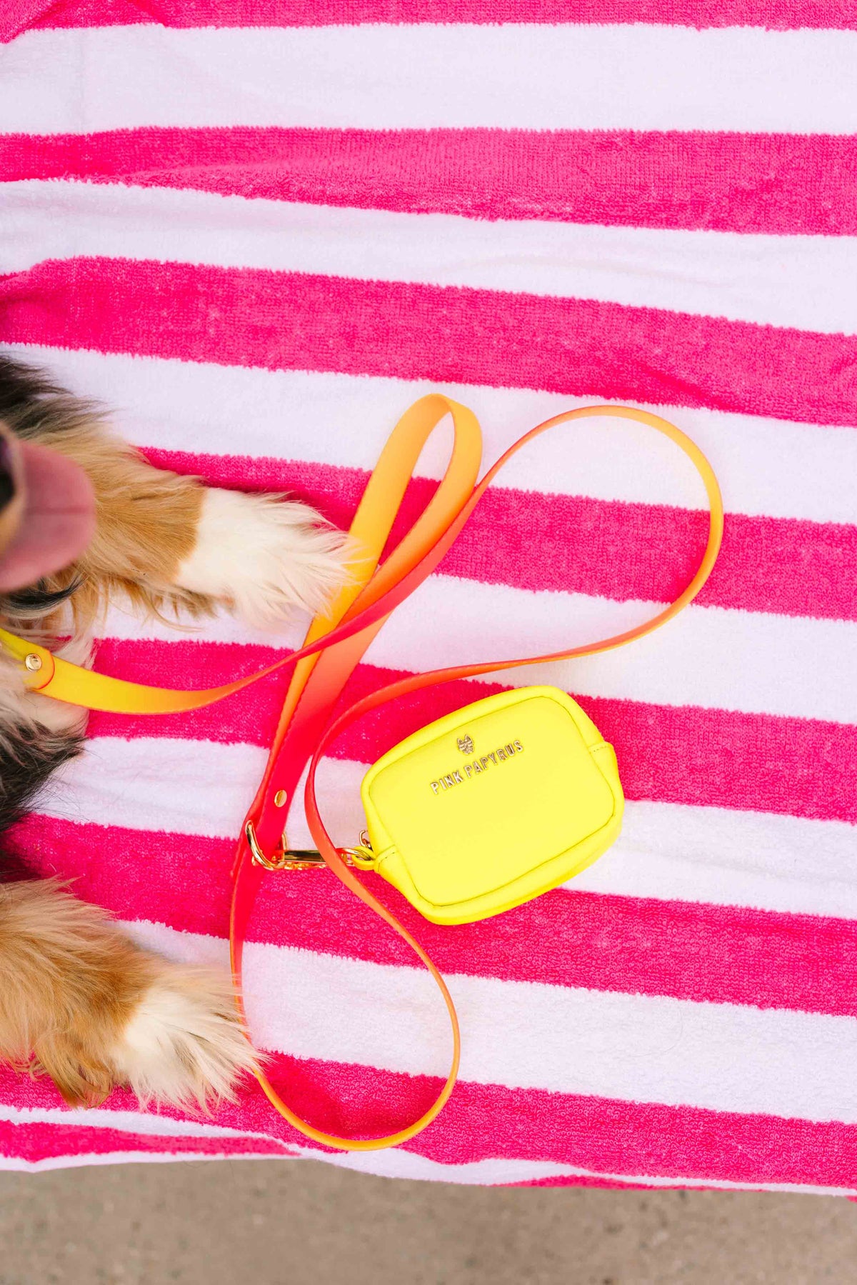 Katelin dog leash — additional photo 4