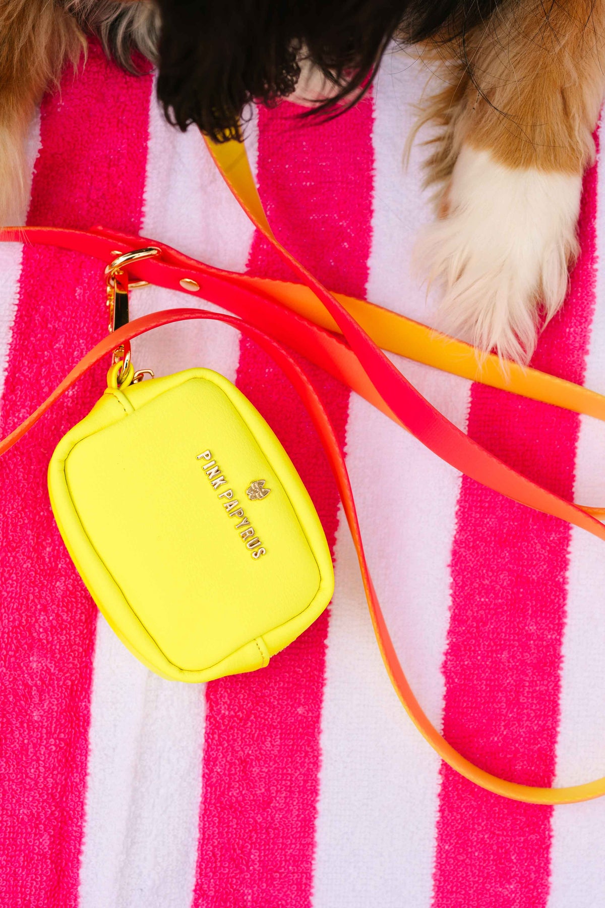 Kiki treat pouch and poop bag holder — additional photo 6