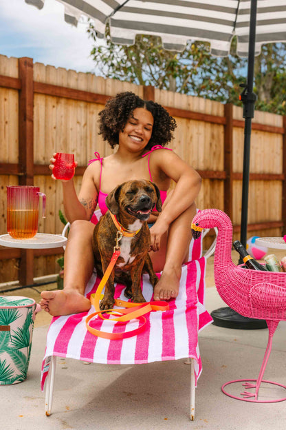 Katelin dog leash — additional photo 6