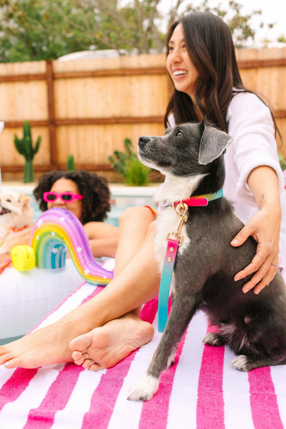 Pippa dog leash — additional photo 5