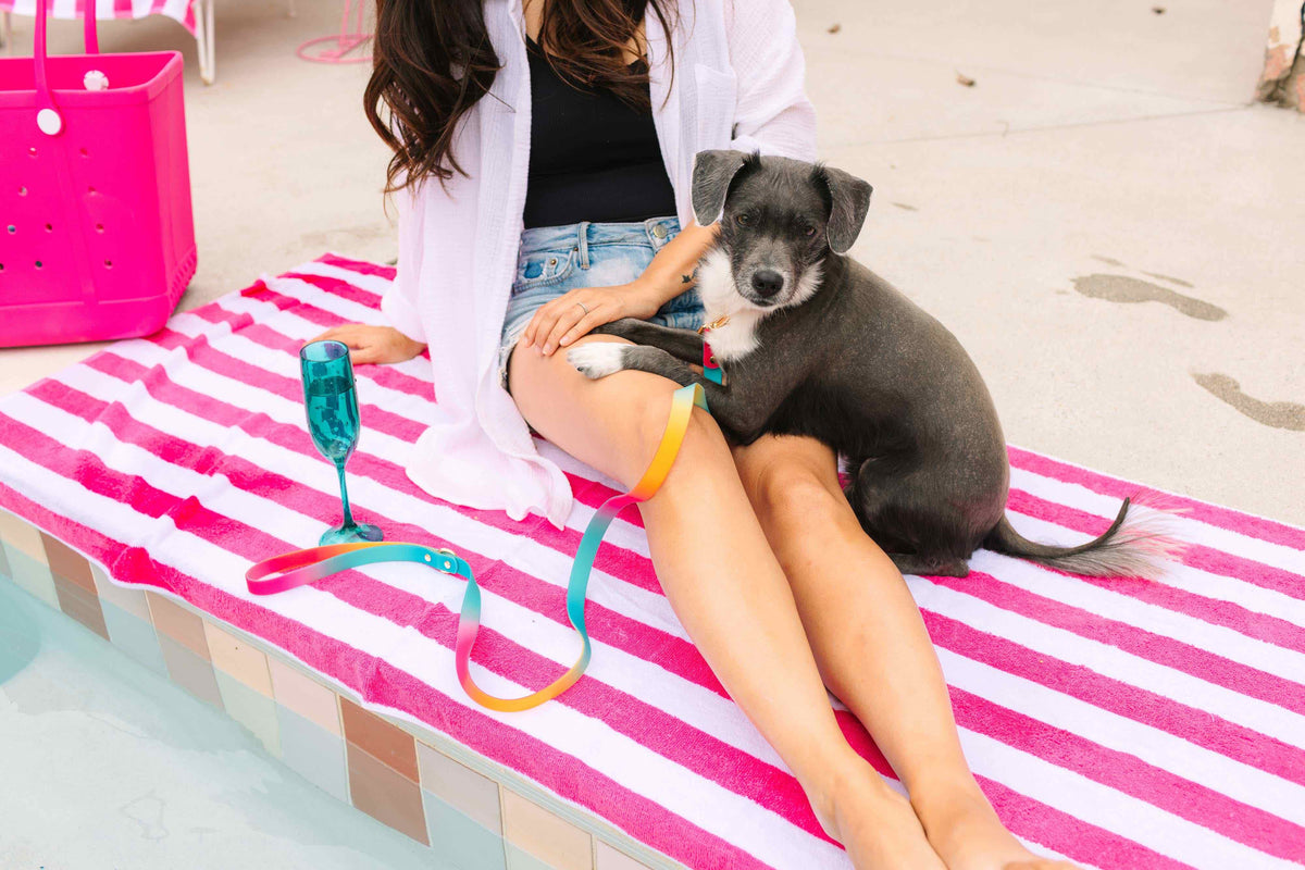 Pippa dog leash — additional photo 7