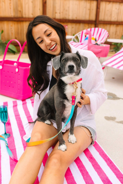 Pippa dog collar — additional photo 7