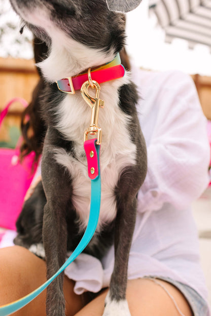 Pippa dog collar — additional photo 9