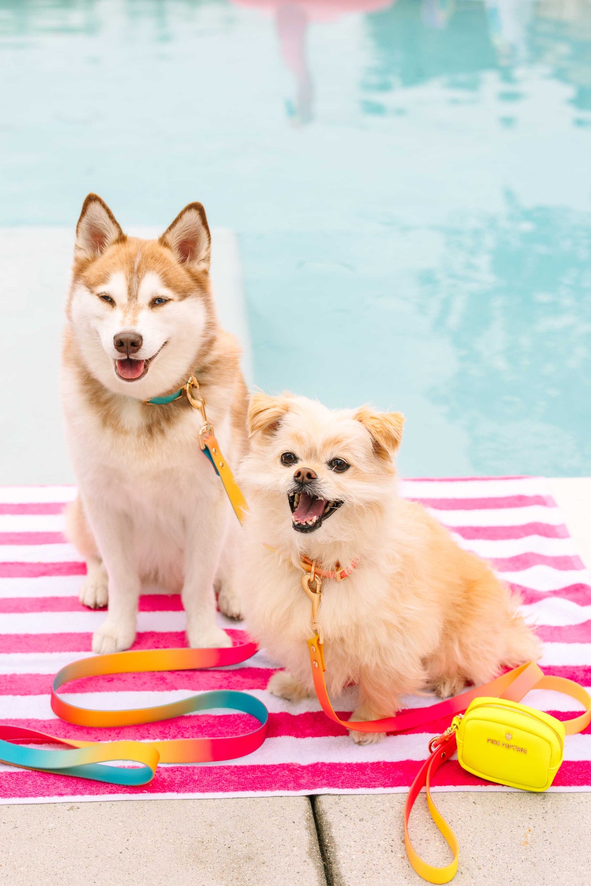 Kiki treat pouch and poop bag holder — additional photo 4