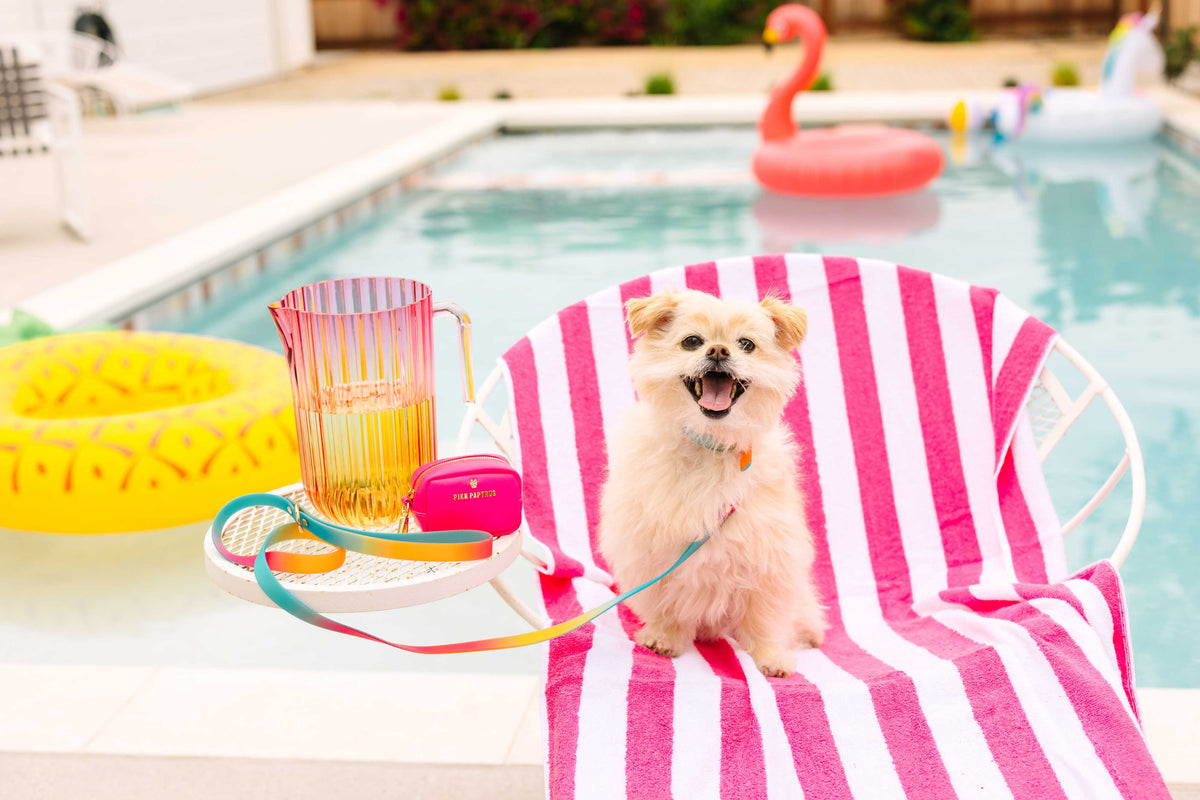Cleo treat pouch and poop bag holder — additional photo 7